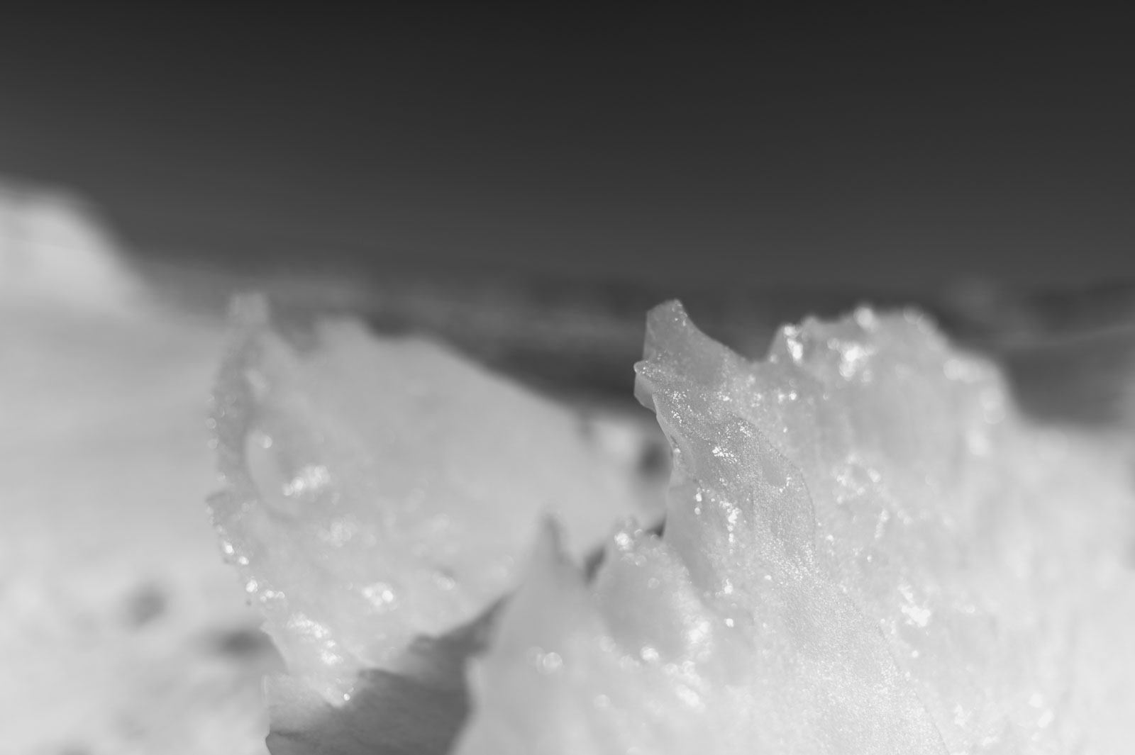 GYT 20221121 040801  DSC8354