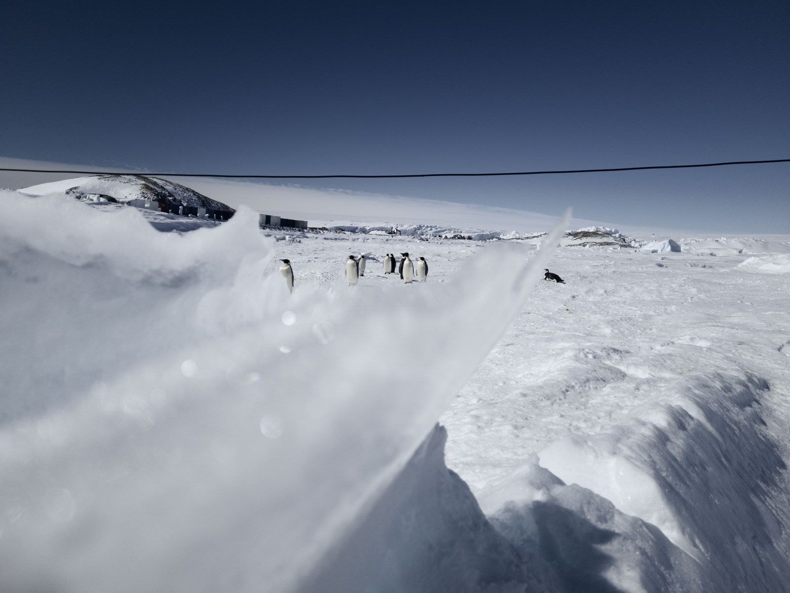 GYT 20221121 110414 20221121 110414