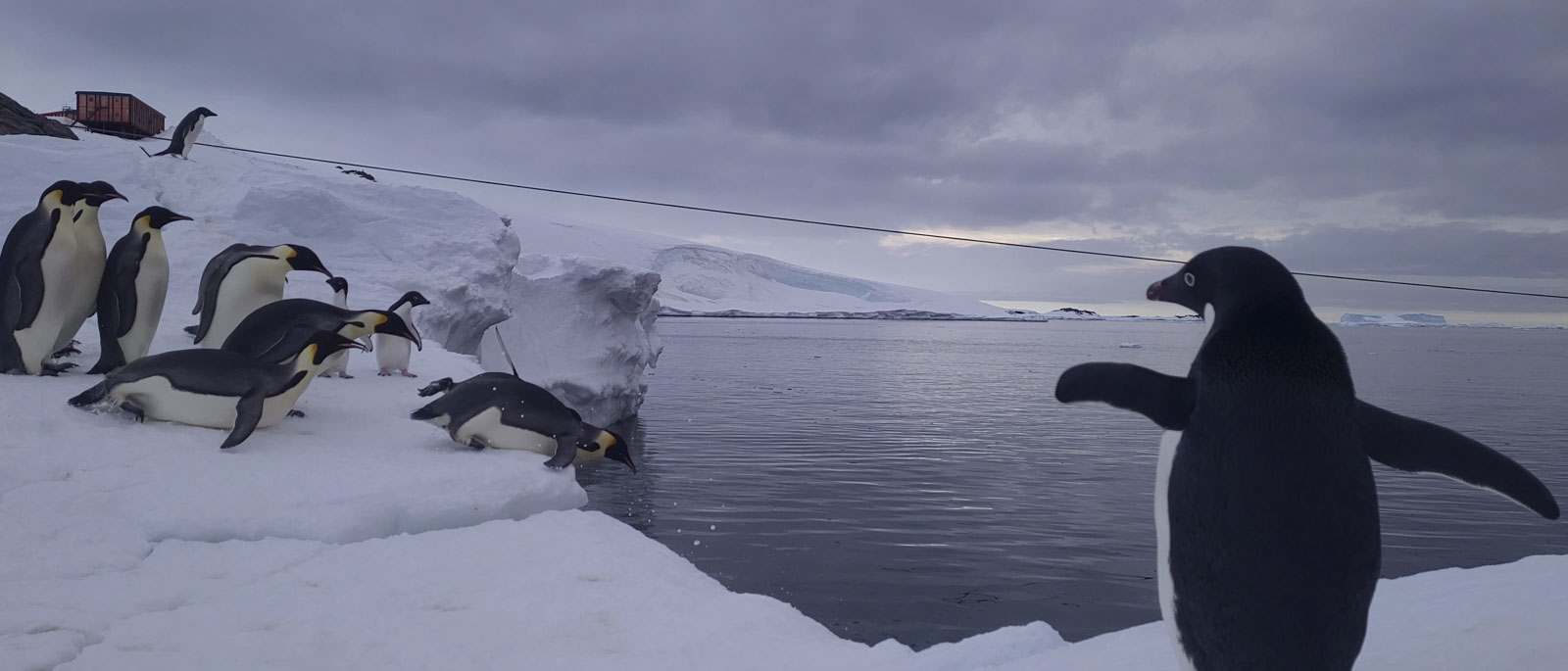 GYT 20221122 174851 VideoCapture 20221122 200622