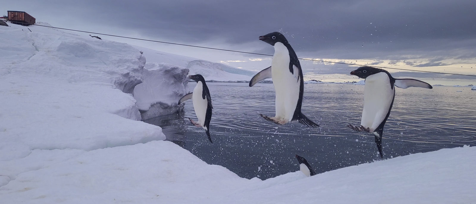 GYT 20221122 182850 VideoCapture 20221122 195526