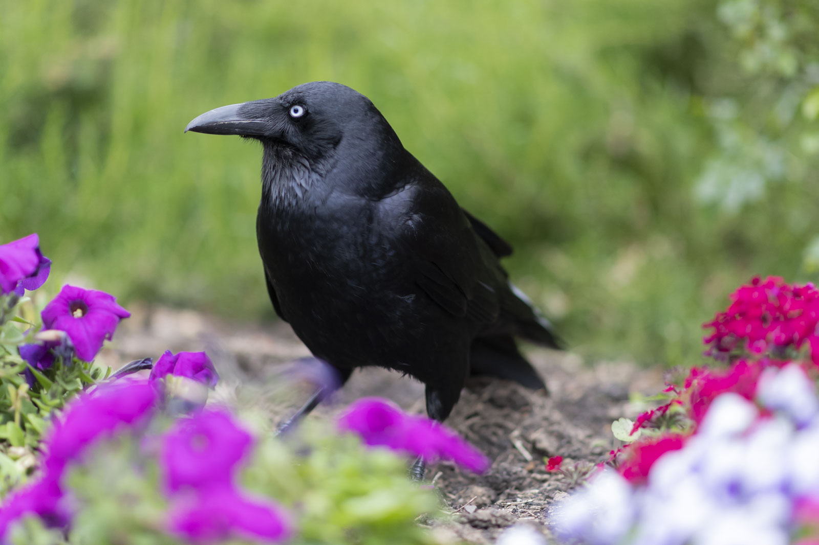 GYT 20221201 121756  DSC0266