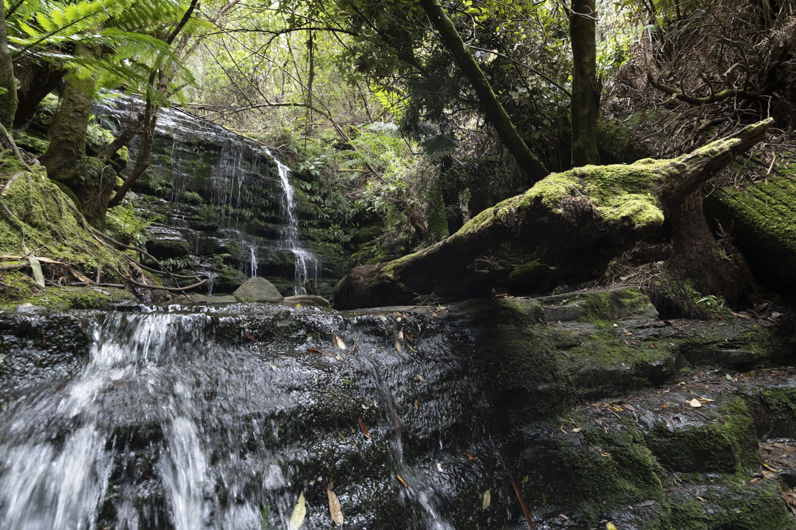 GYT 20221201 133035  DSC0276