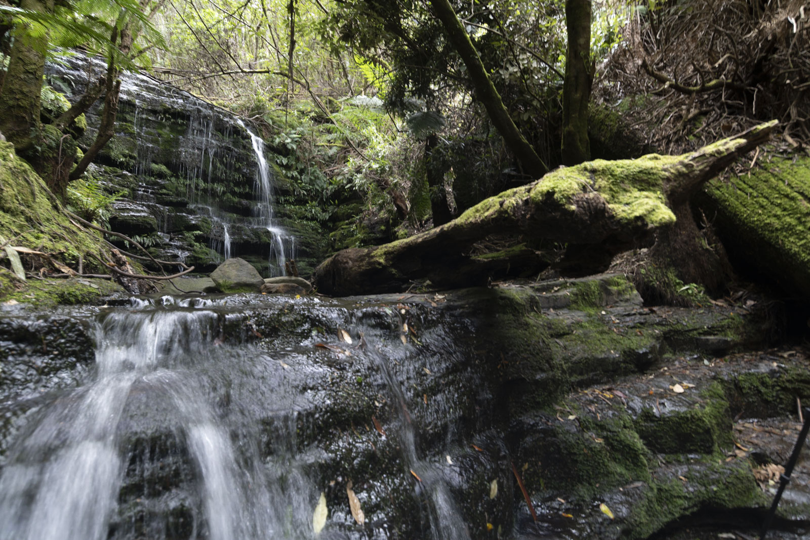 GYT 20221201 133052  DSC0277