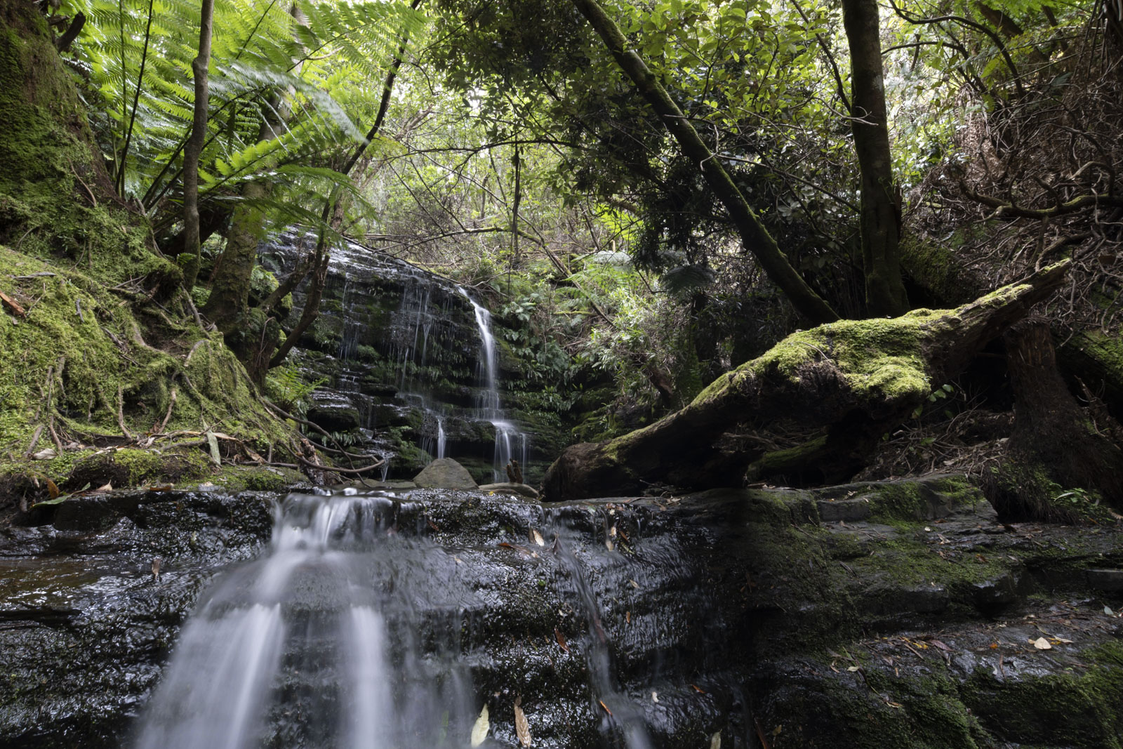 GYT 20221201 133546  DSC0280