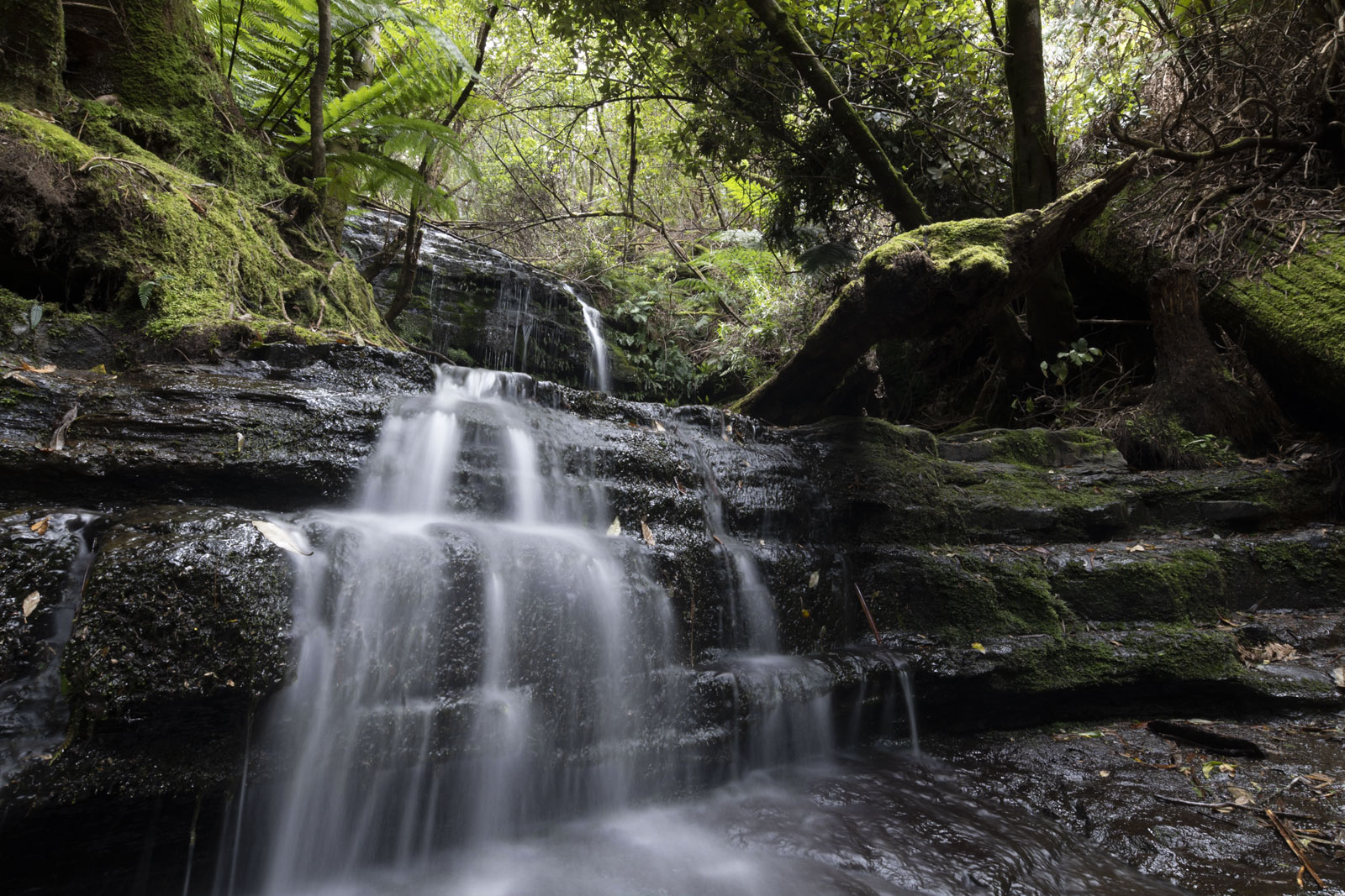 GYT 20221201 133645  DSC0281