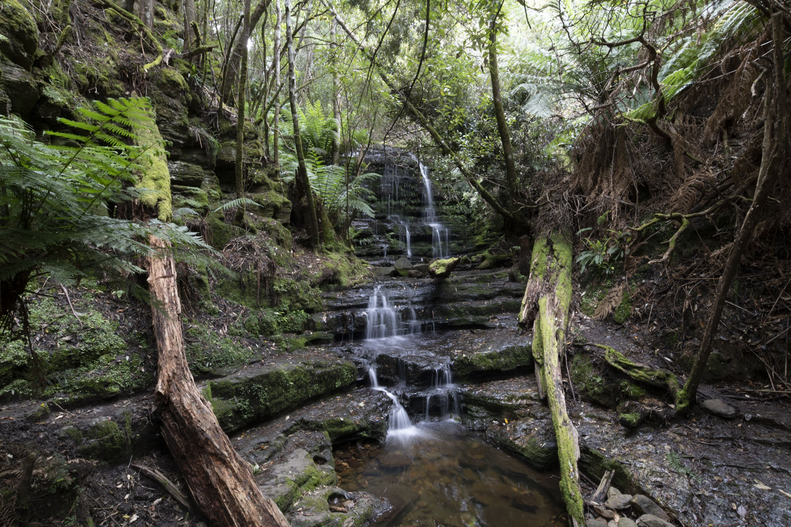 GYT 20221201 134720  DSC0283