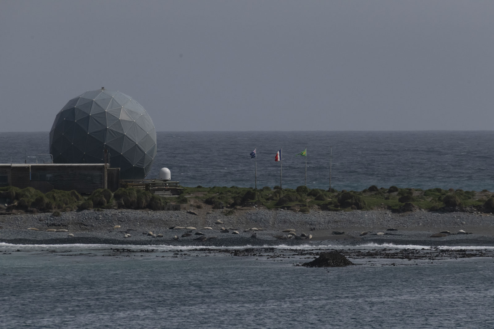 GYT 20221207 101307  DSC0359