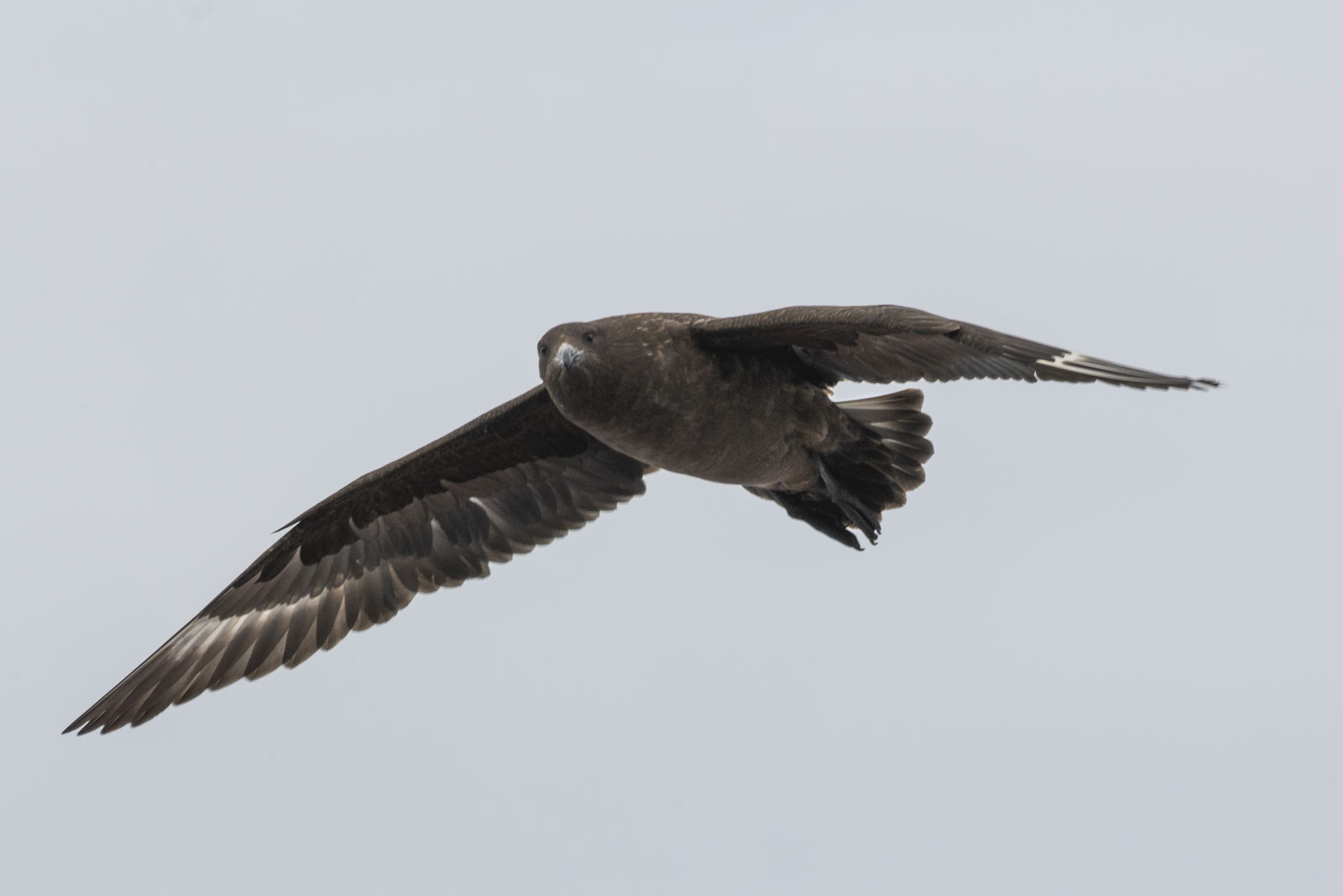 GYT 20221207 173050  DSC0394