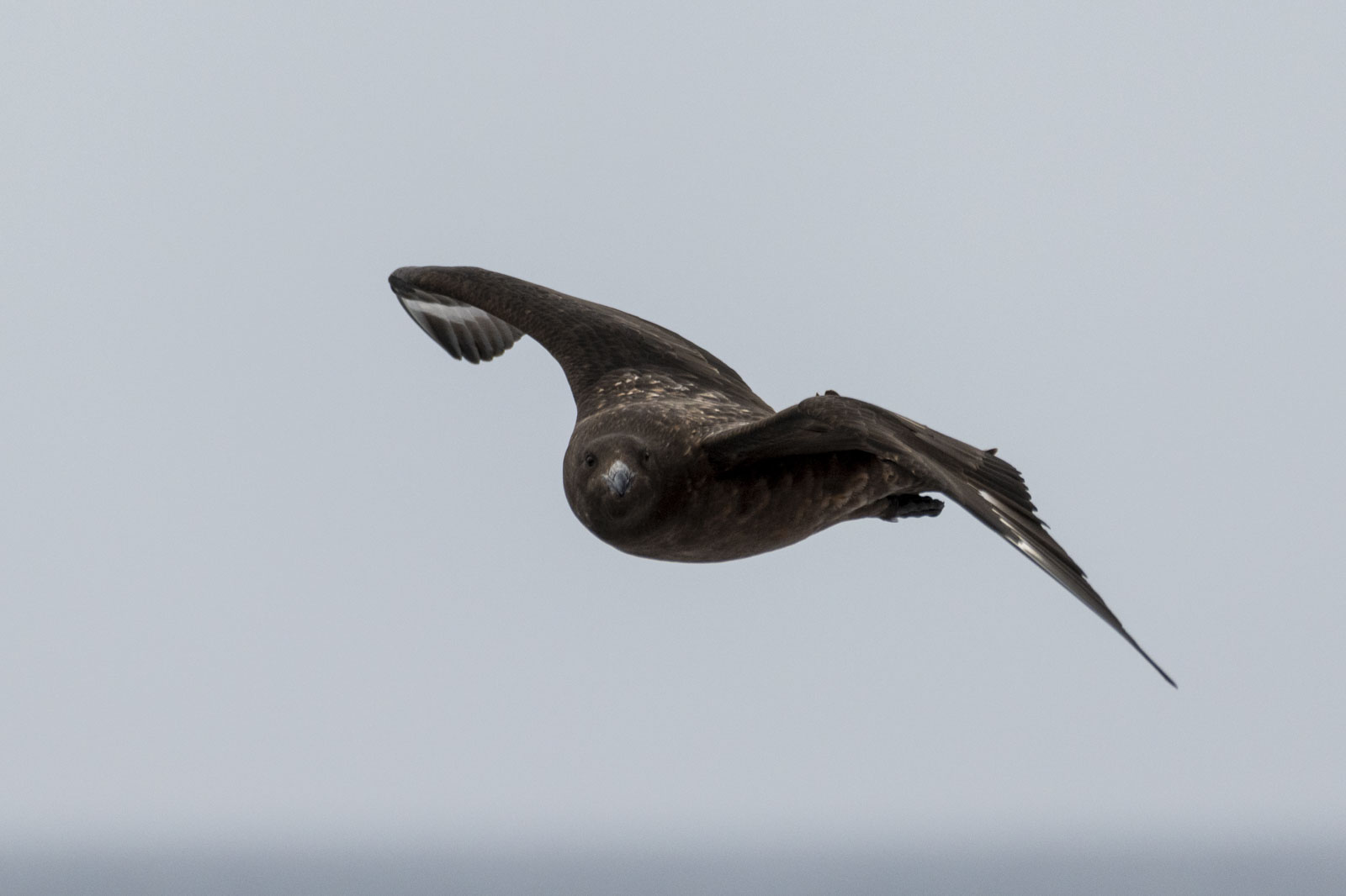 GYT 20221207 173314  DSC0407