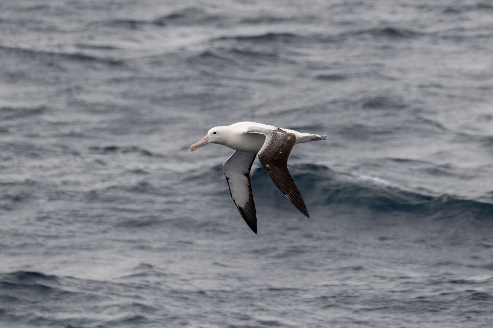 GYT 20221207 173720  DSC0444