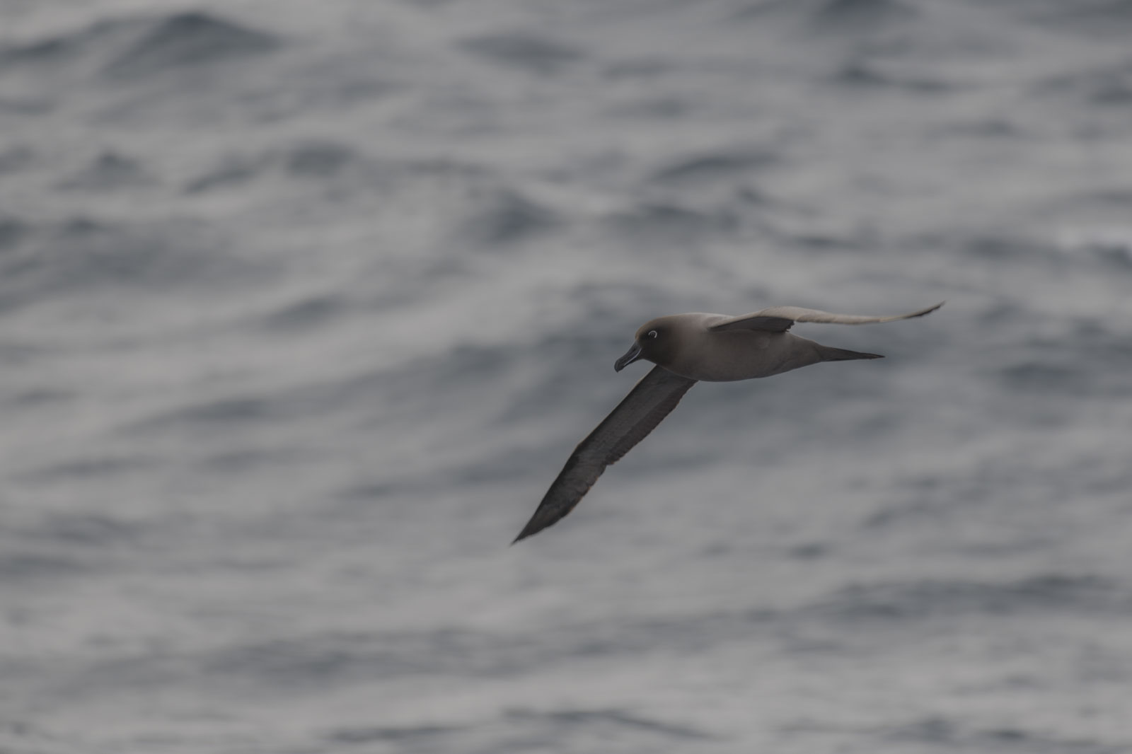 GYT 20221207 174641  DSC0459