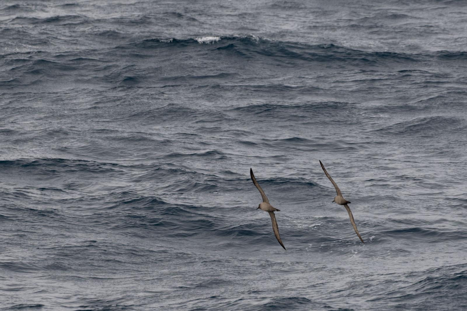 GYT 20221207 174750  DSC0467