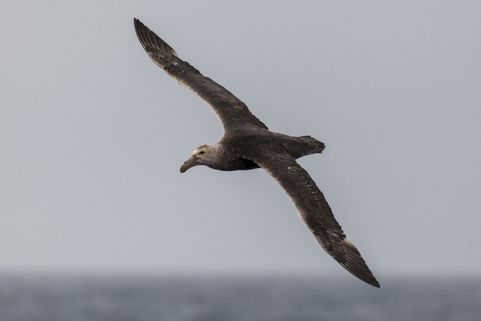 GYT 20221207 182952  DSC0559