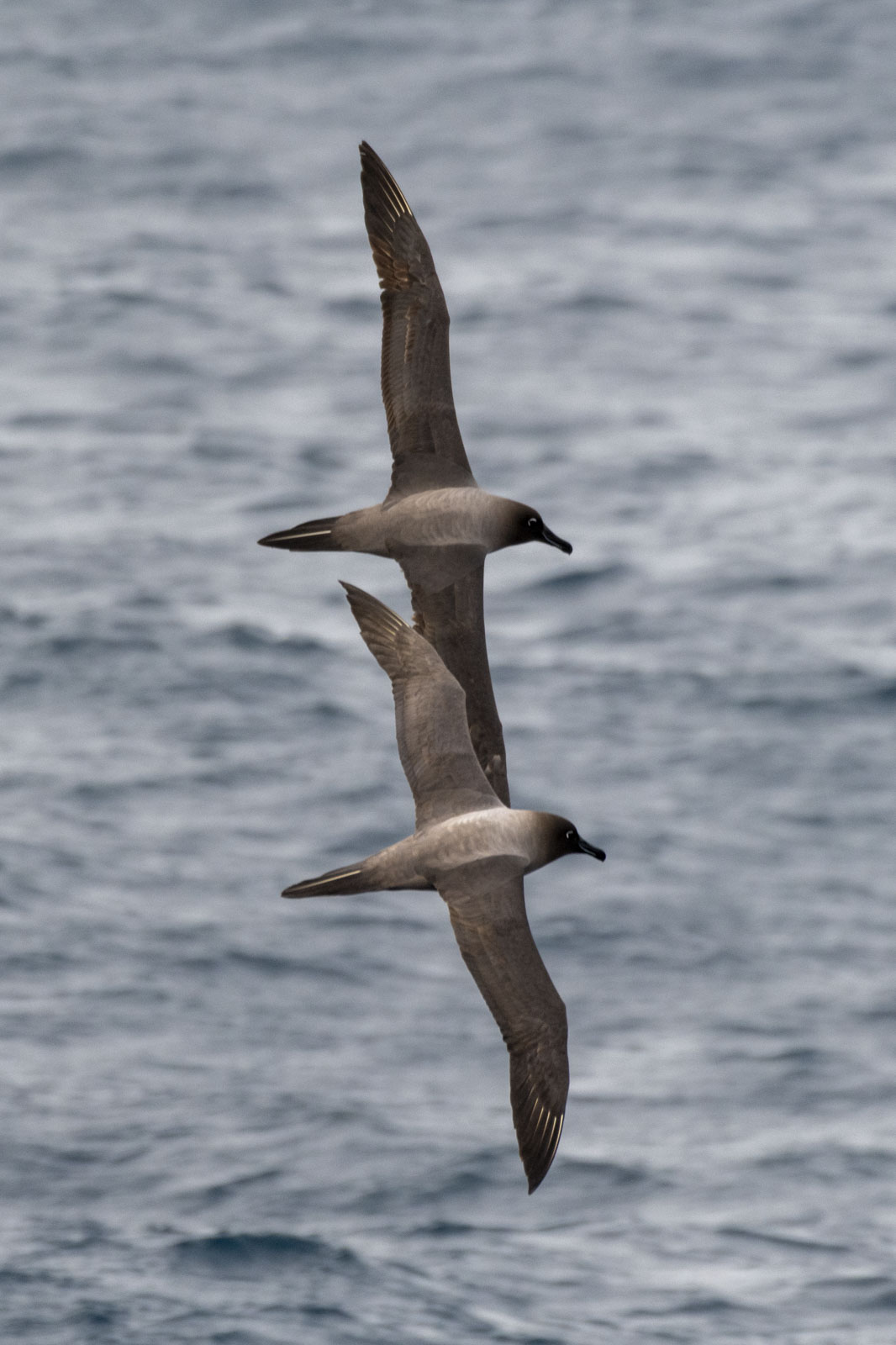 GYT 20221207 183327  DSC0600