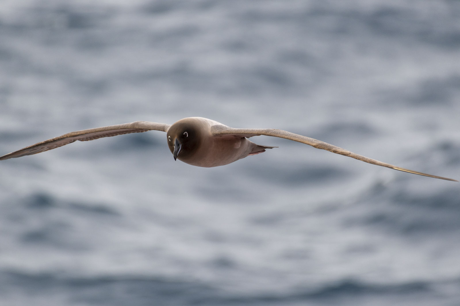 GYT 20221207 183709  DSC0614