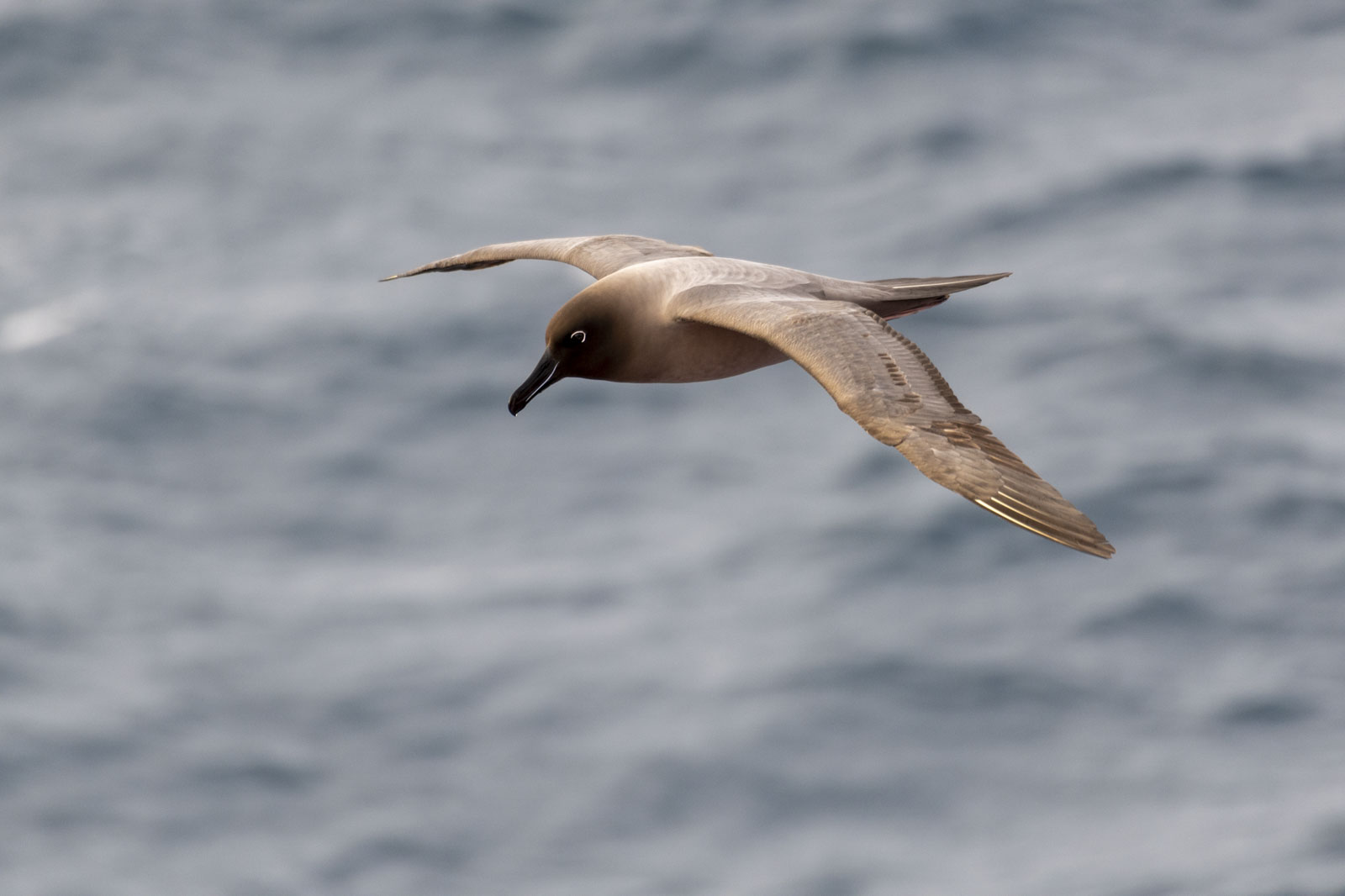 GYT 20221207 183747  DSC0622