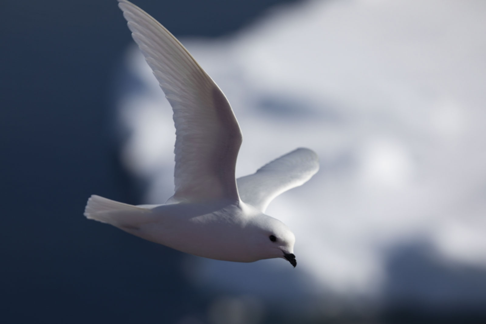 GYT 20221210 090828 013A7277