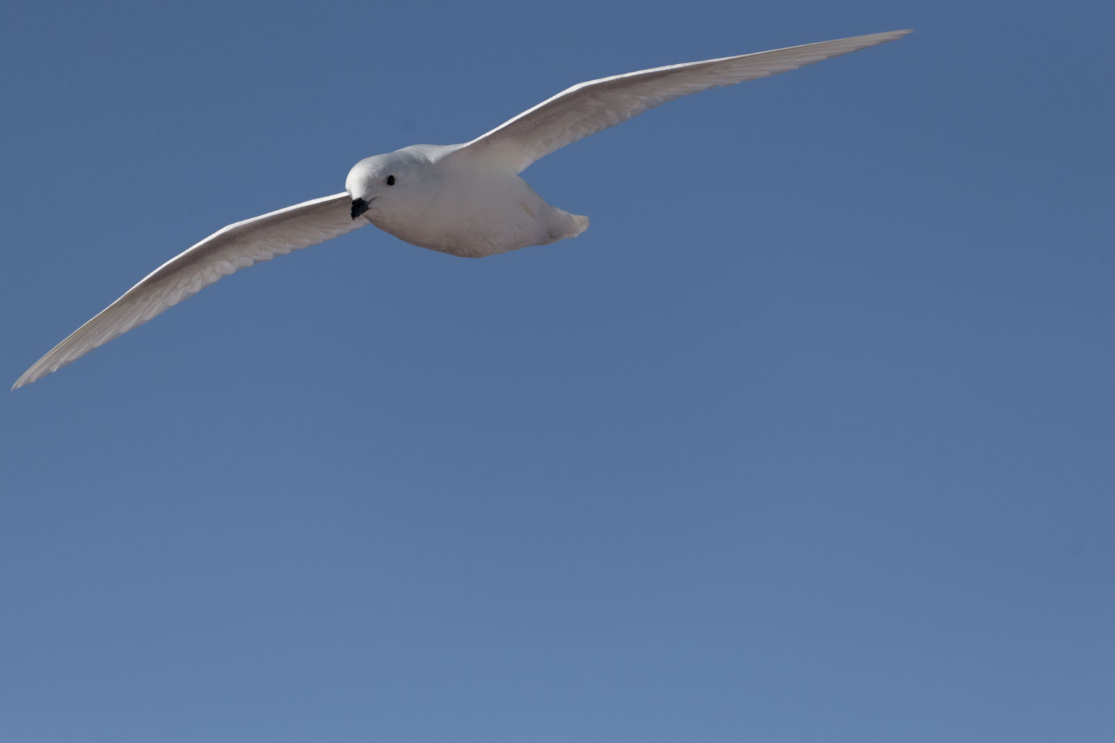 GYT 20221210 175446  DSC0657