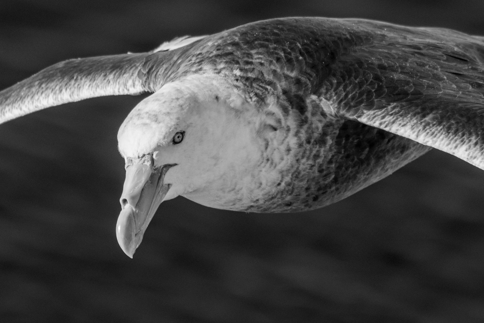 GYT 20221210 175610  DSC0675 2