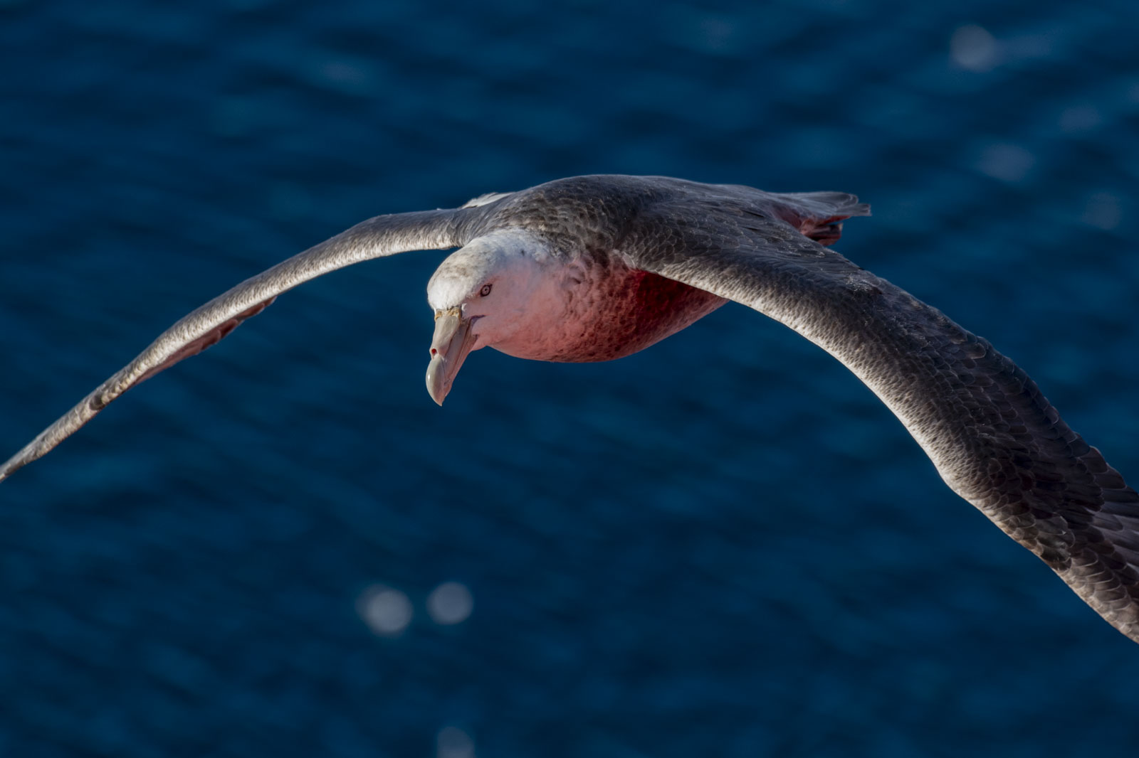 GYT 20221210 175610  DSC0675