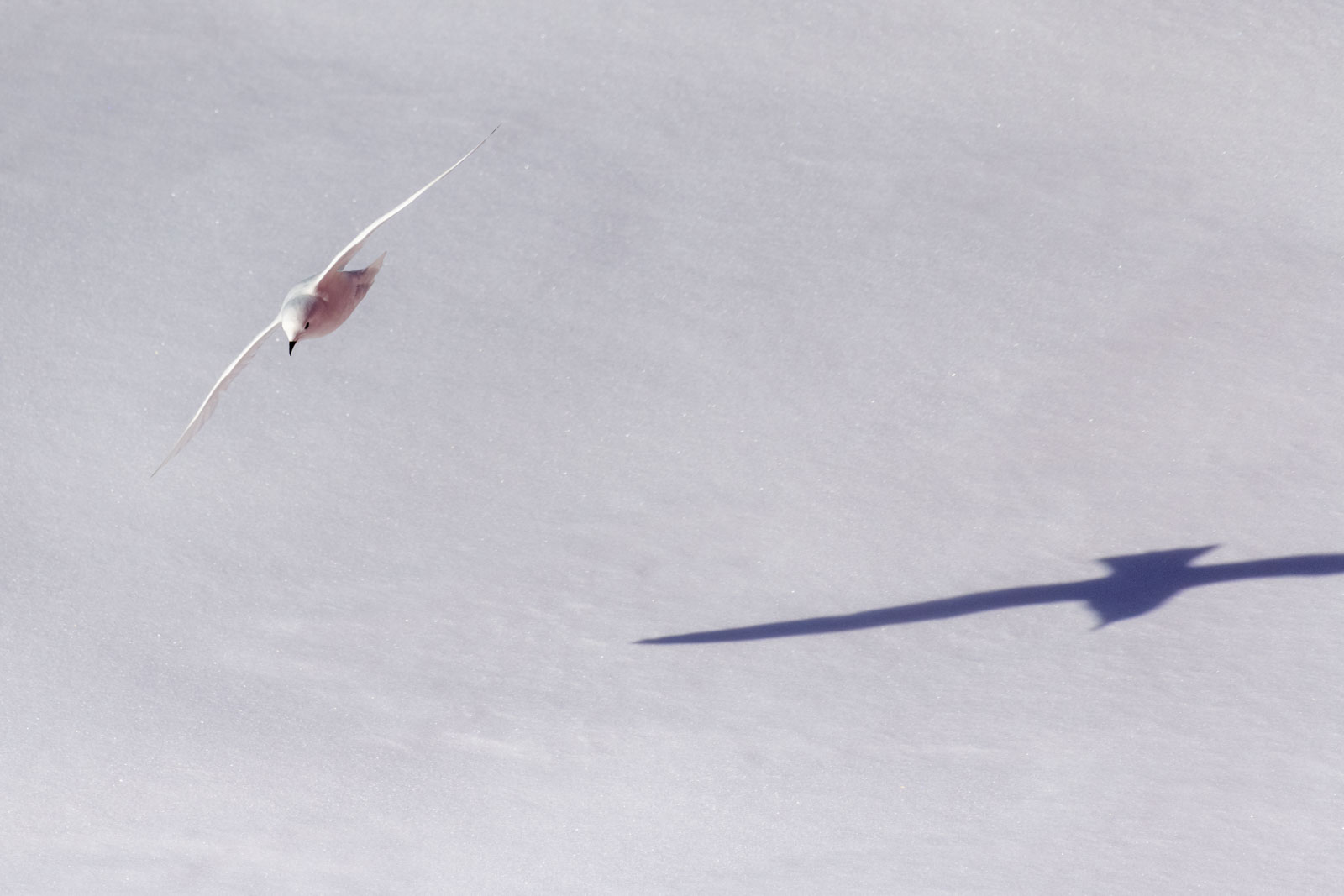 GYT 20221210 175738  DSC0680