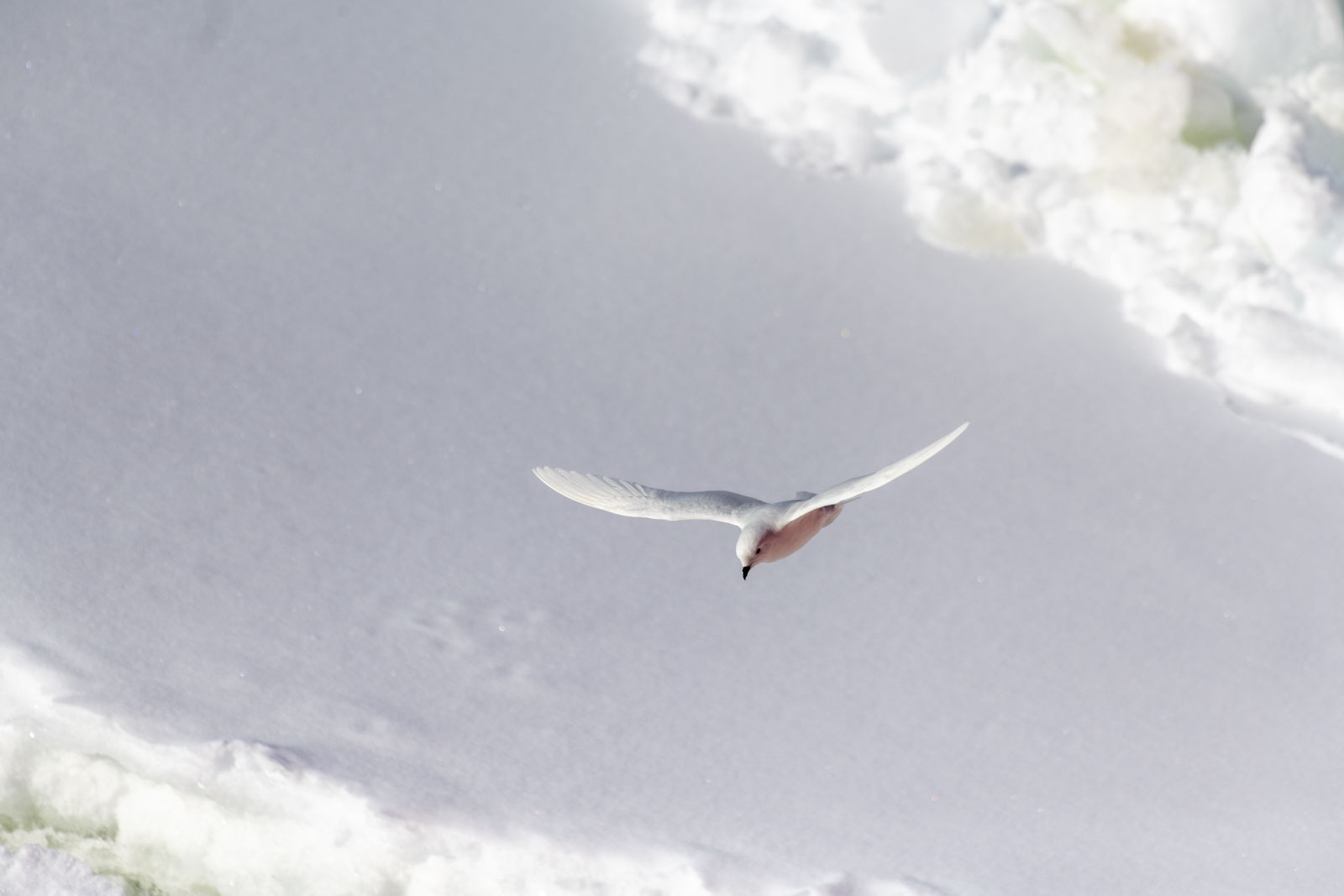 GYT 20221210 175756  DSC0689