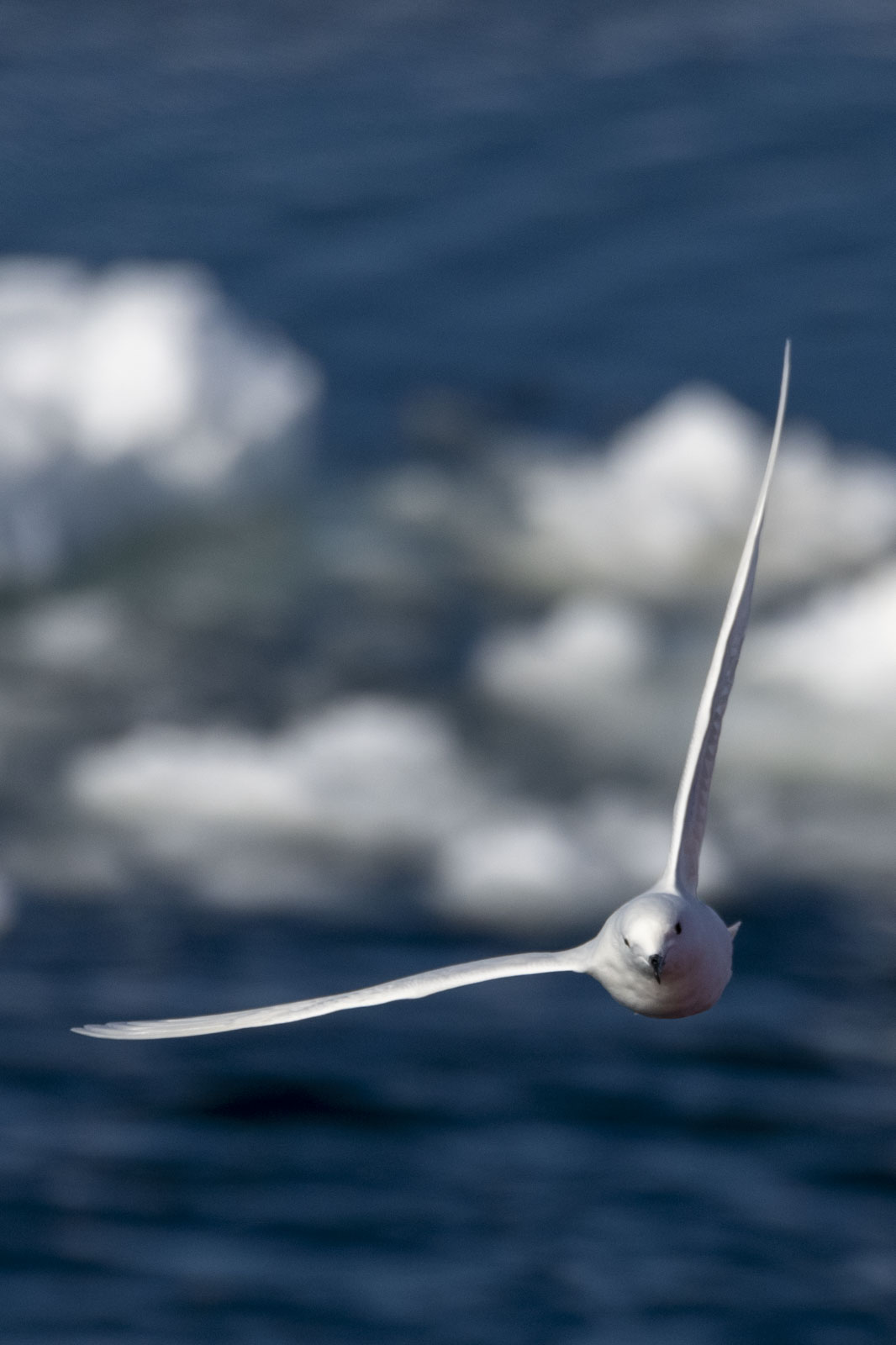 GYT 20221210 175920  DSC0693 2