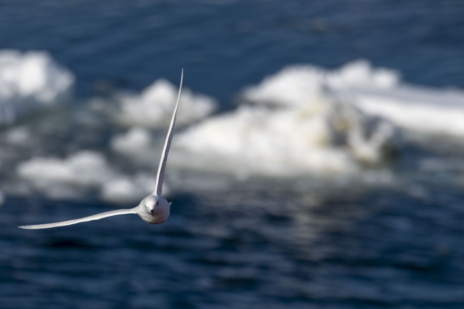 GYT 20221210 175920  DSC0693