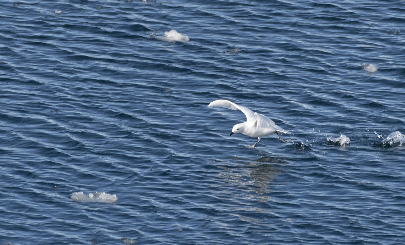 GYT 20221210 180249  DSC0709