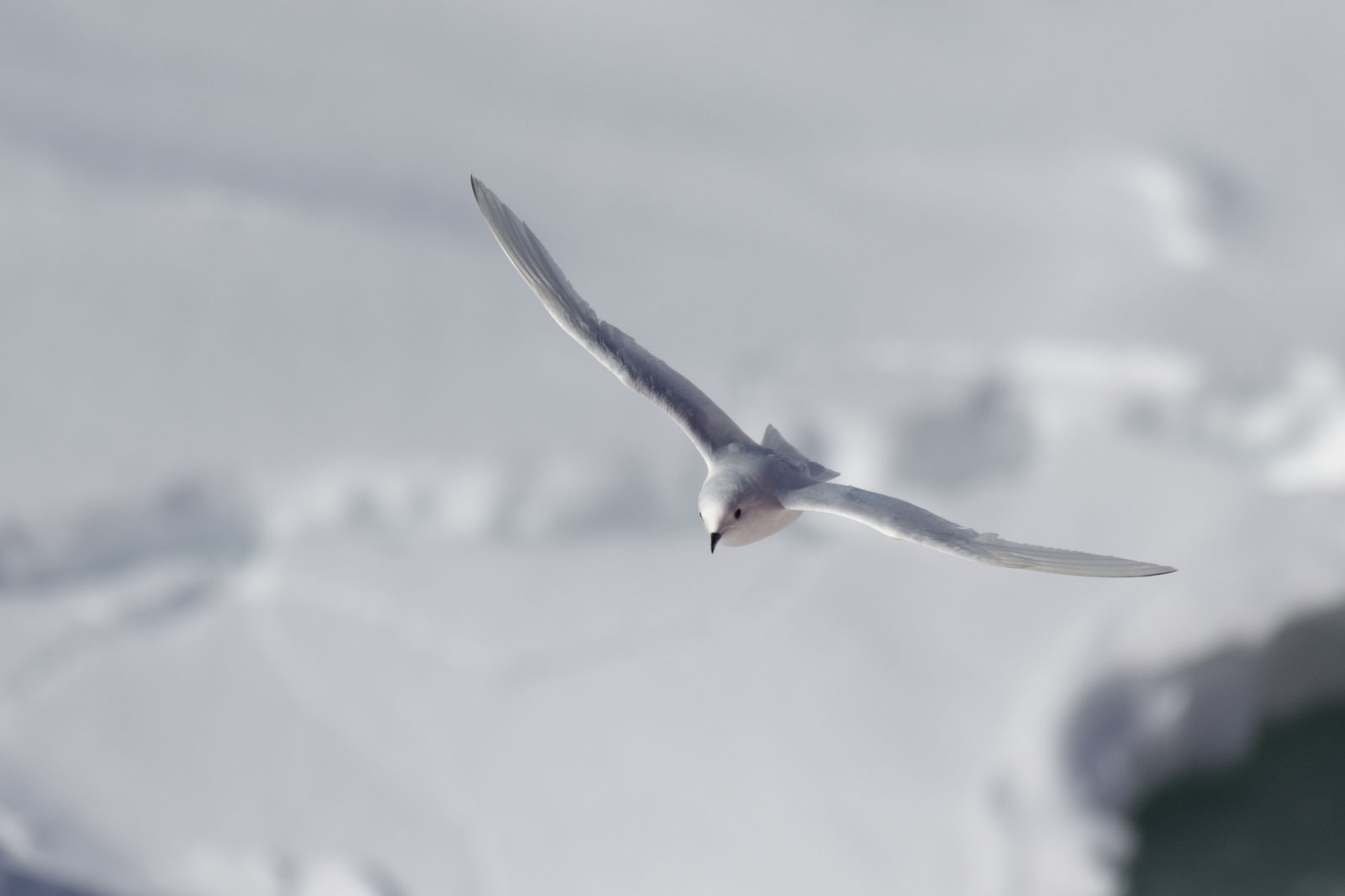 GYT 20221210 180313  DSC0718