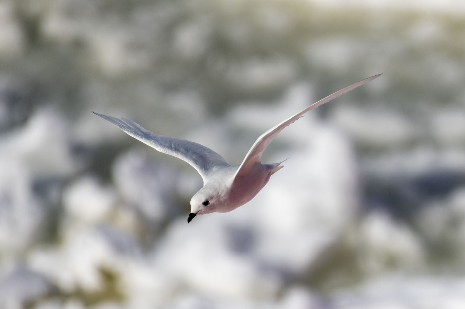 GYT 20221210 180314  DSC0721