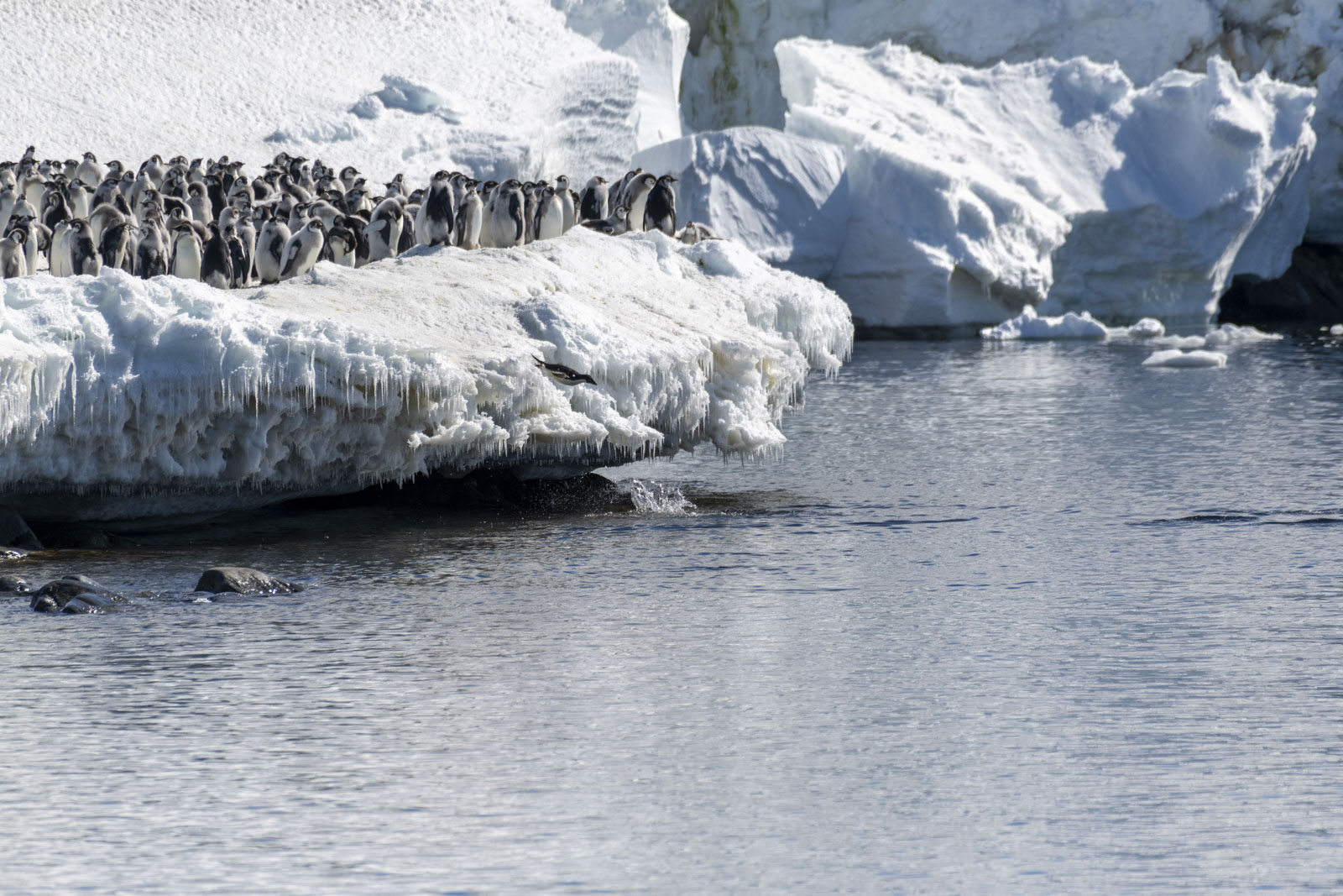 GYT 20221211 163137  DSC0733