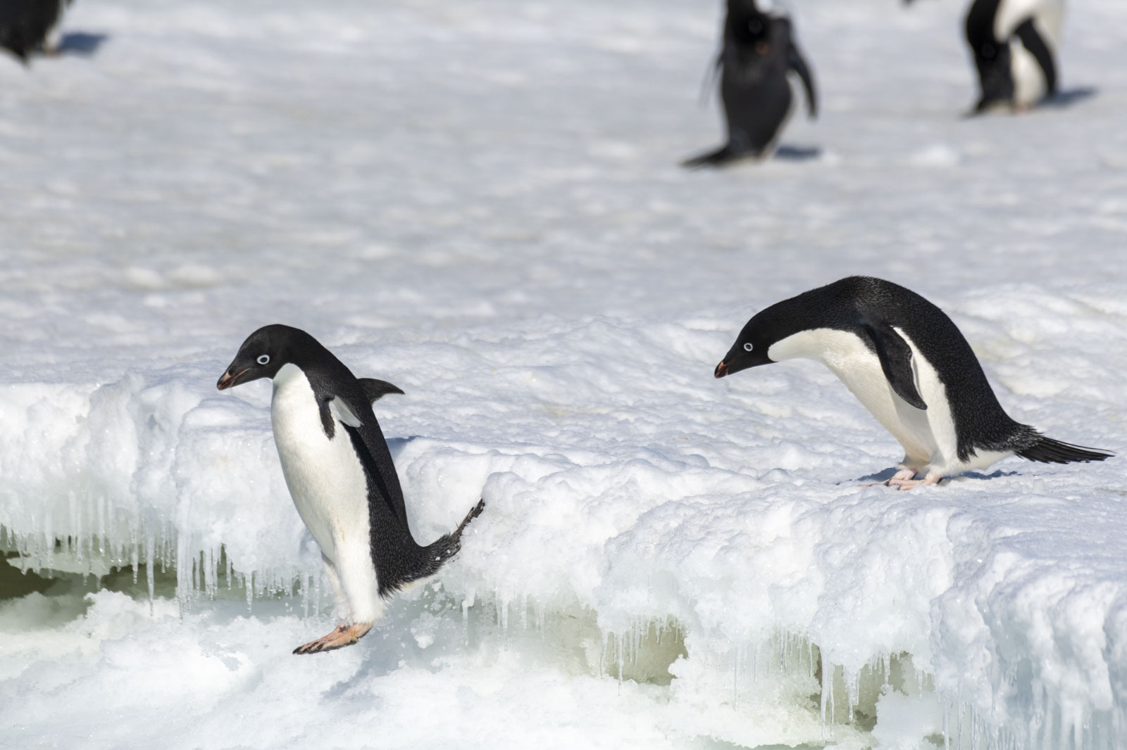 GYT 20221211 163422  DSC0738