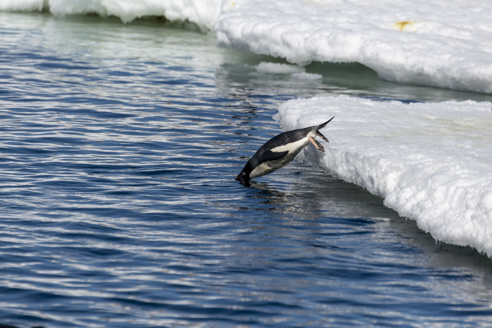 GYT 20221211 163554  DSC0747