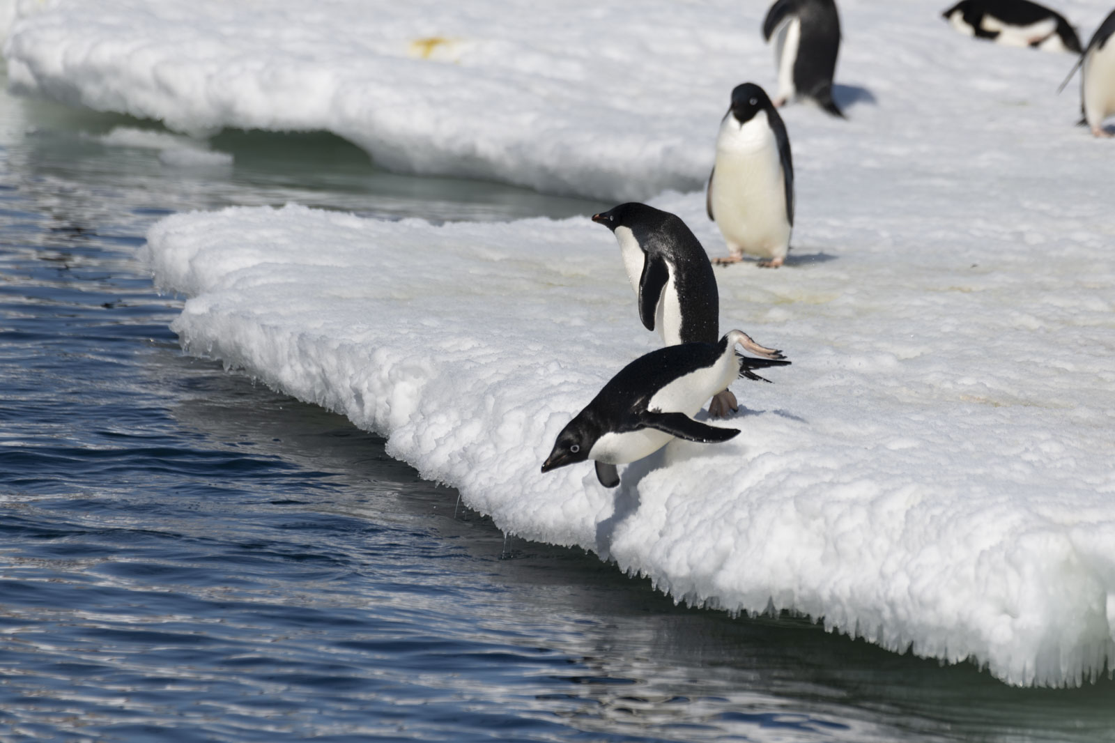 GYT 20221211 163557  DSC0748