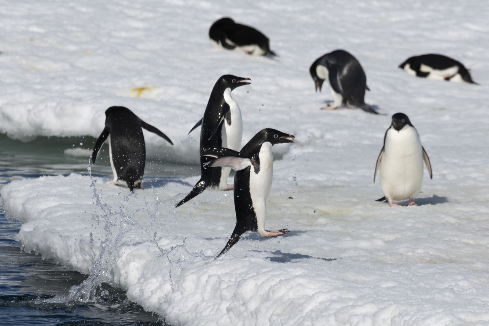 GYT 20221211 163702  DSC0752