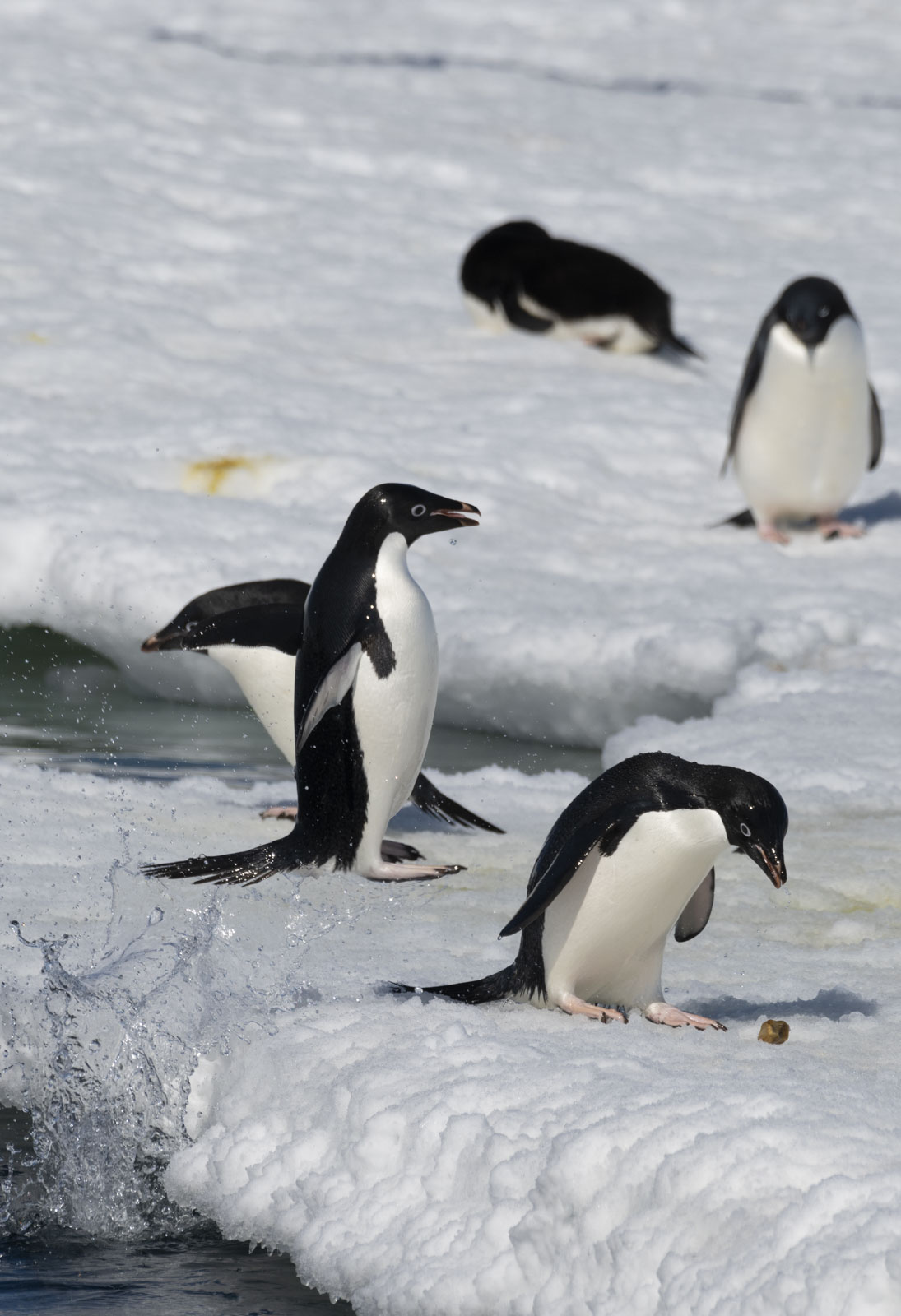 GYT 20221211 163727  DSC0755