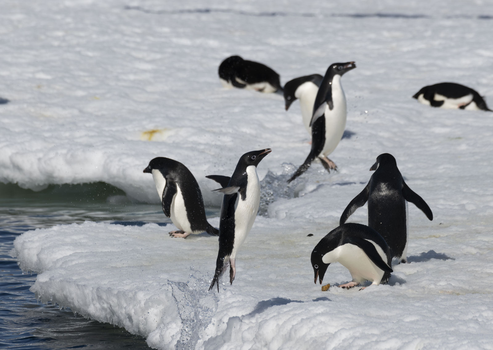 GYT 20221211 163730  DSC0757