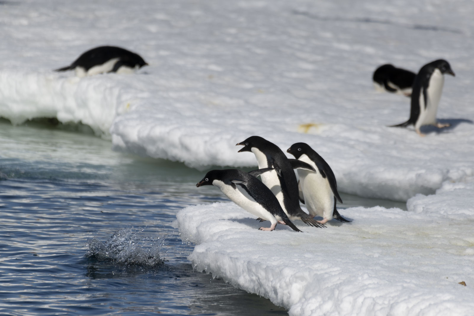 GYT 20221211 163955  DSC0773