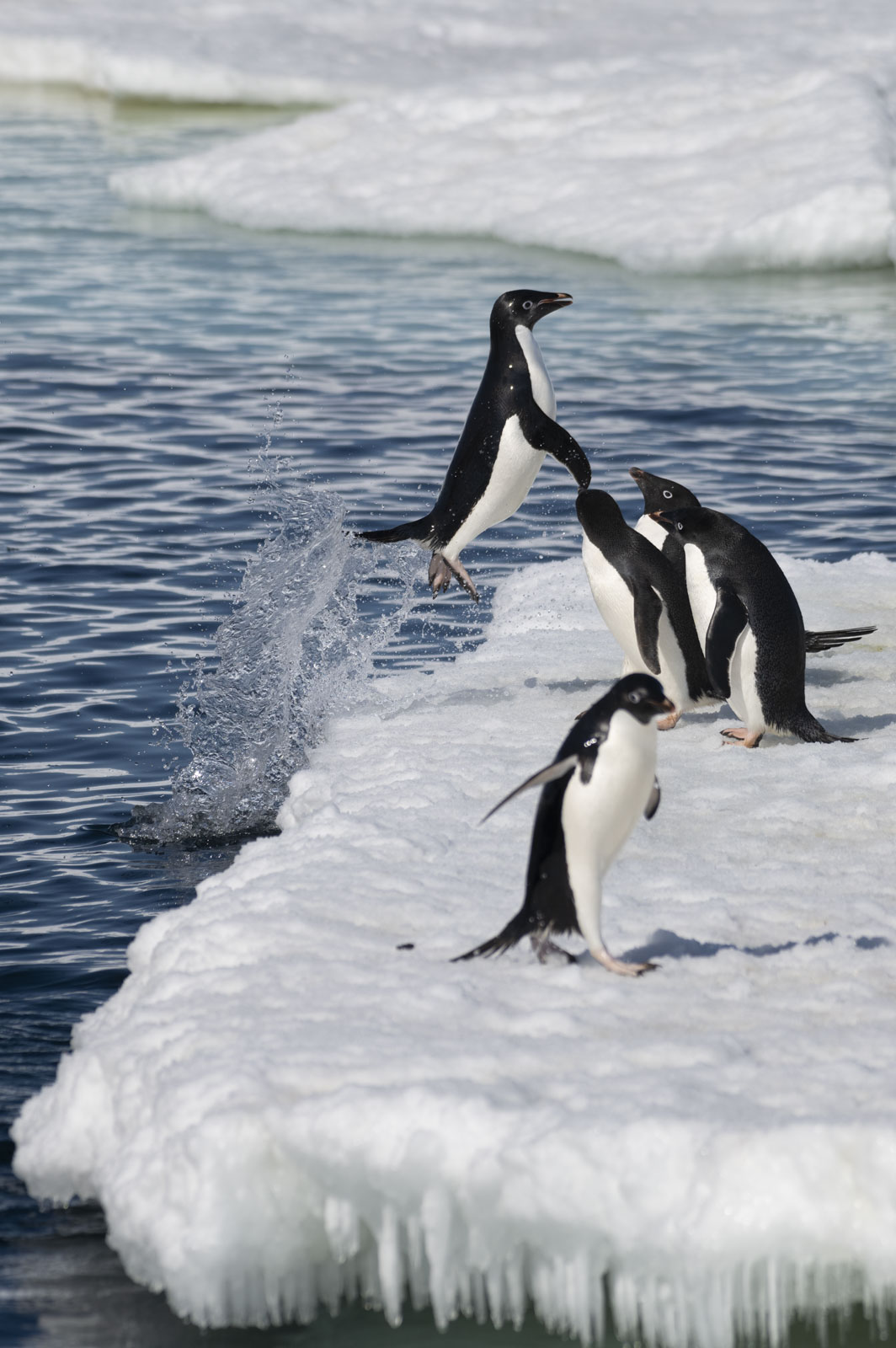 GYT 20221211 164336  DSC0784 2