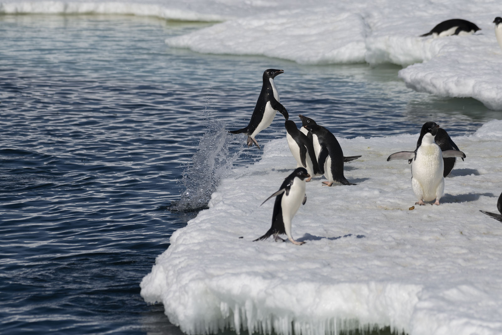 GYT 20221211 164336  DSC0784