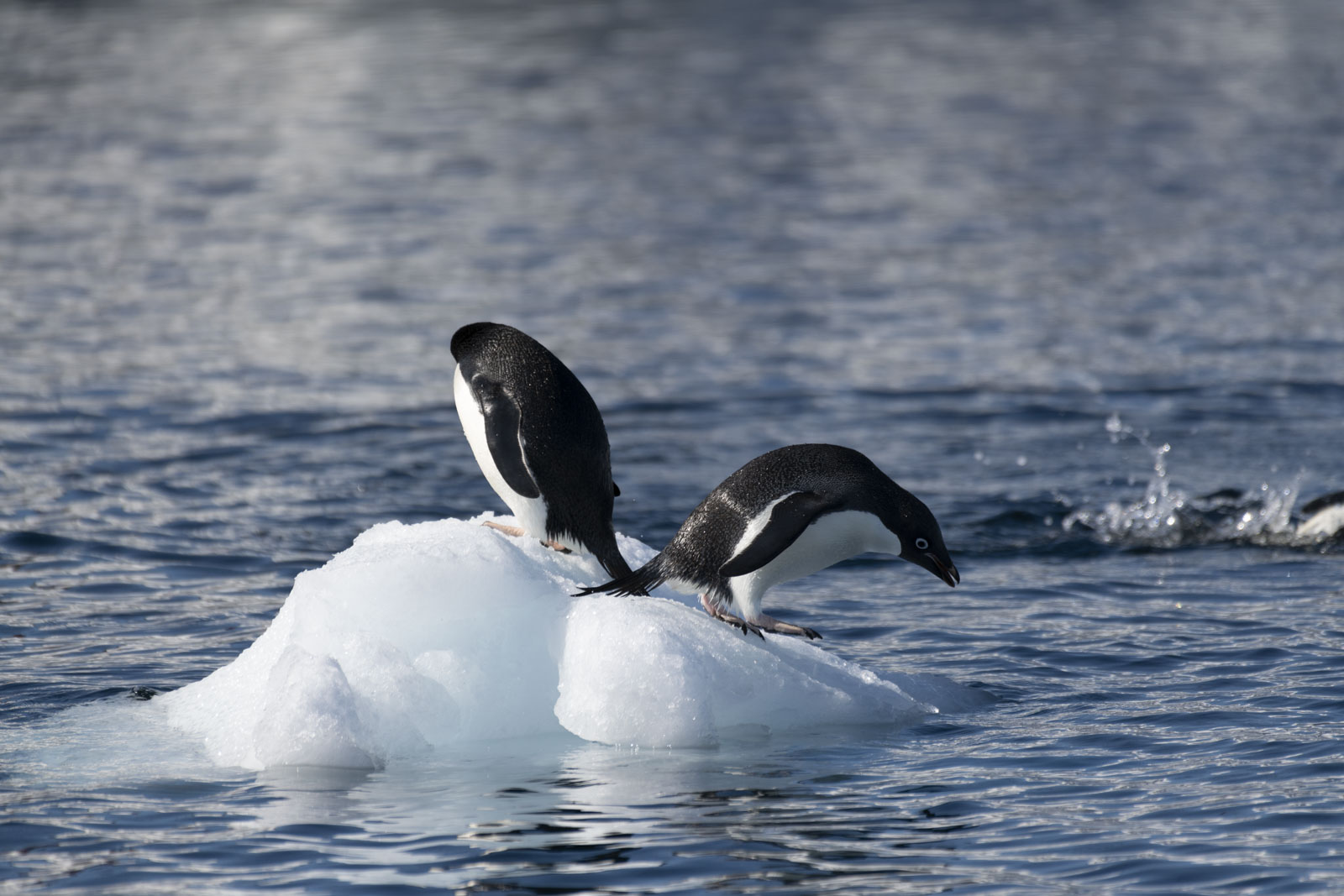 GYT 20221211 164726  DSC0801