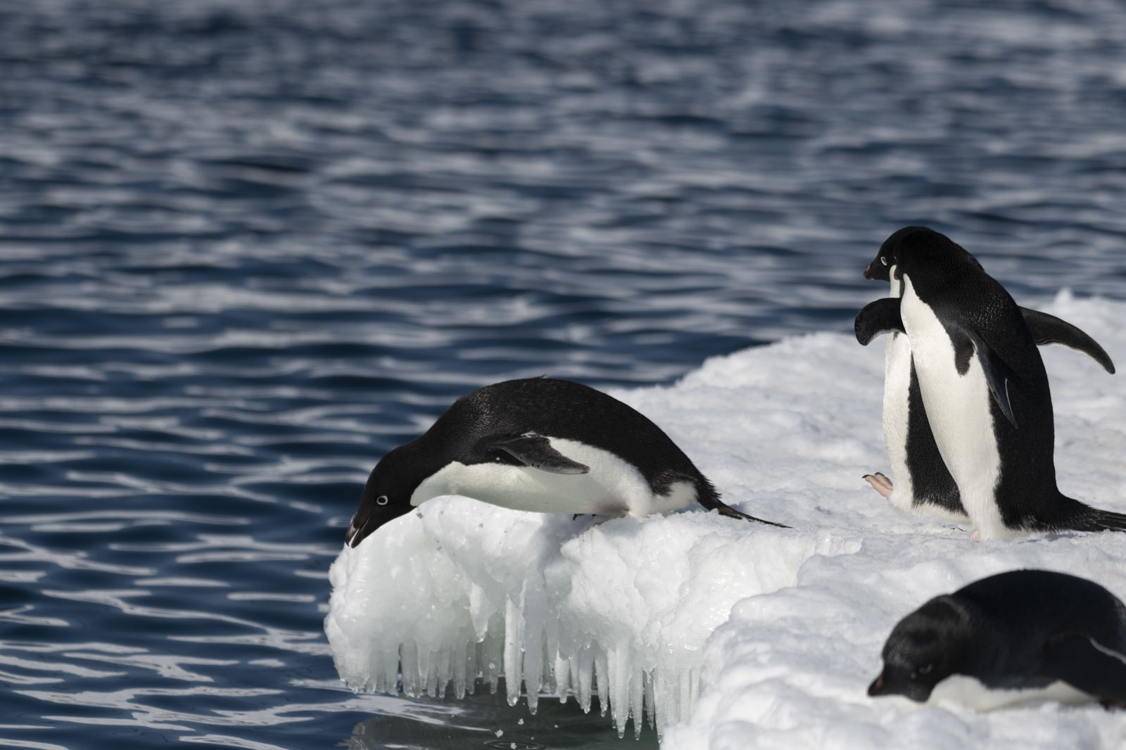 GYT 20221211 165214  DSC0813