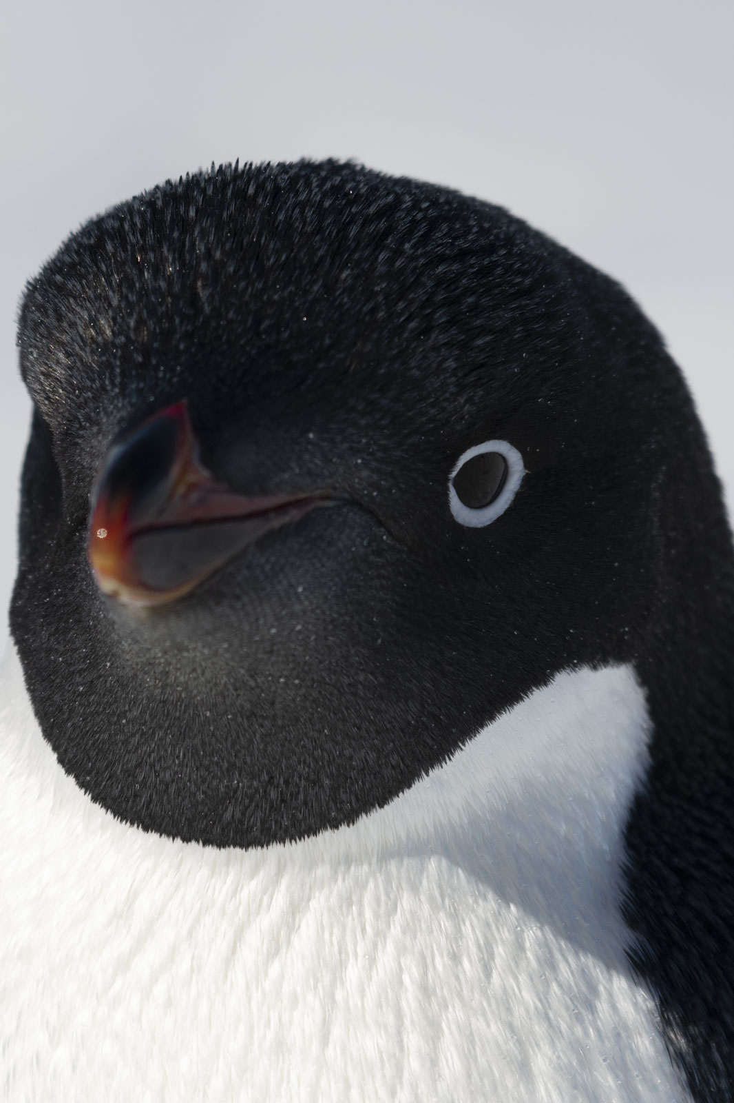 GYT 20221211 165351  DSC0818