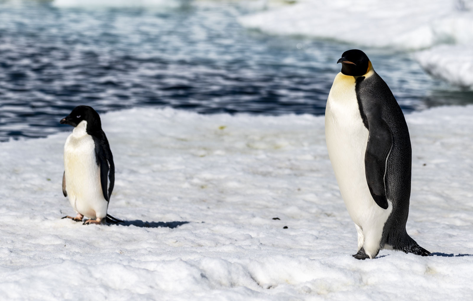 GYT 20221211 165538  DSC0821