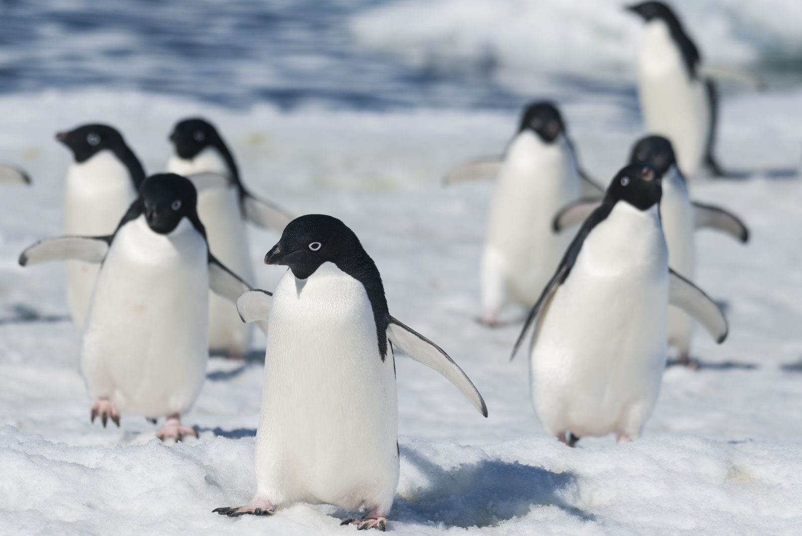 GYT 20221211 170056  DSC0829