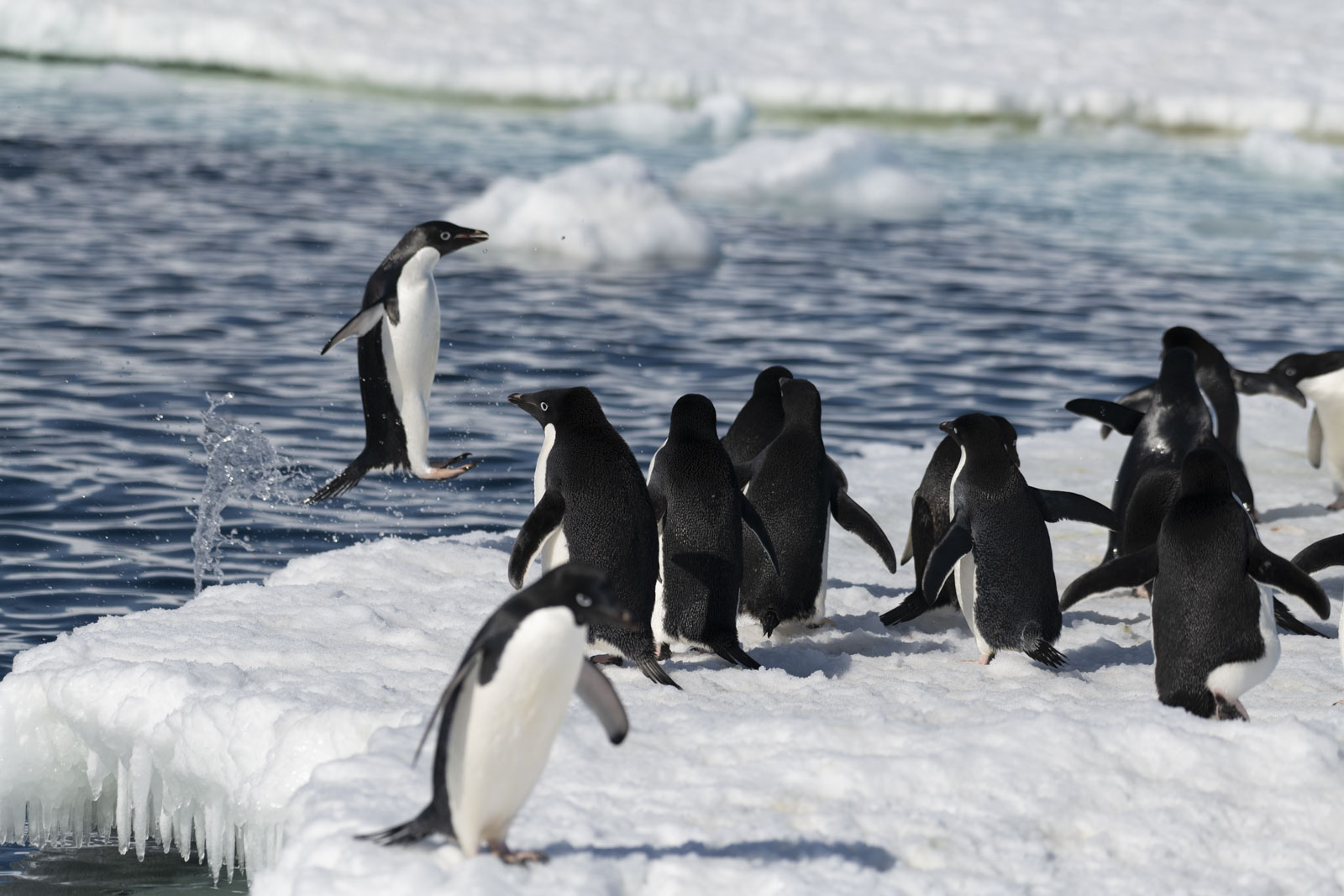 GYT 20221211 170224  DSC0831