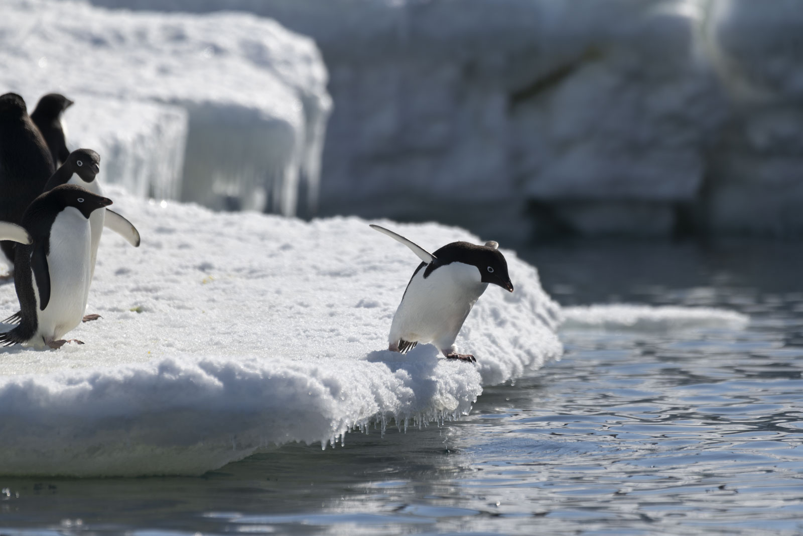 GYT 20221211 171020  DSC0833