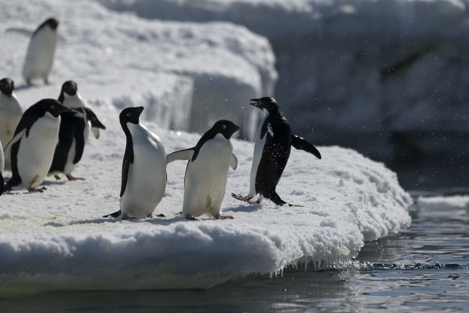 GYT 20221211 171116  DSC0835