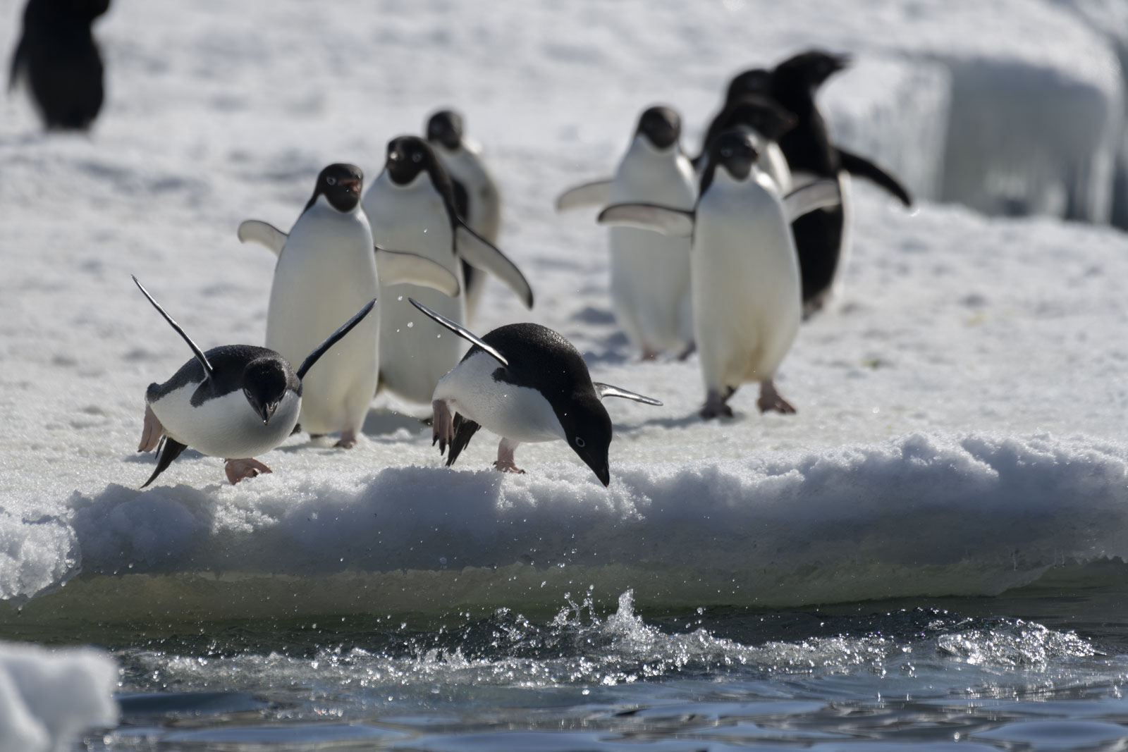 GYT 20221211 171158  DSC0842